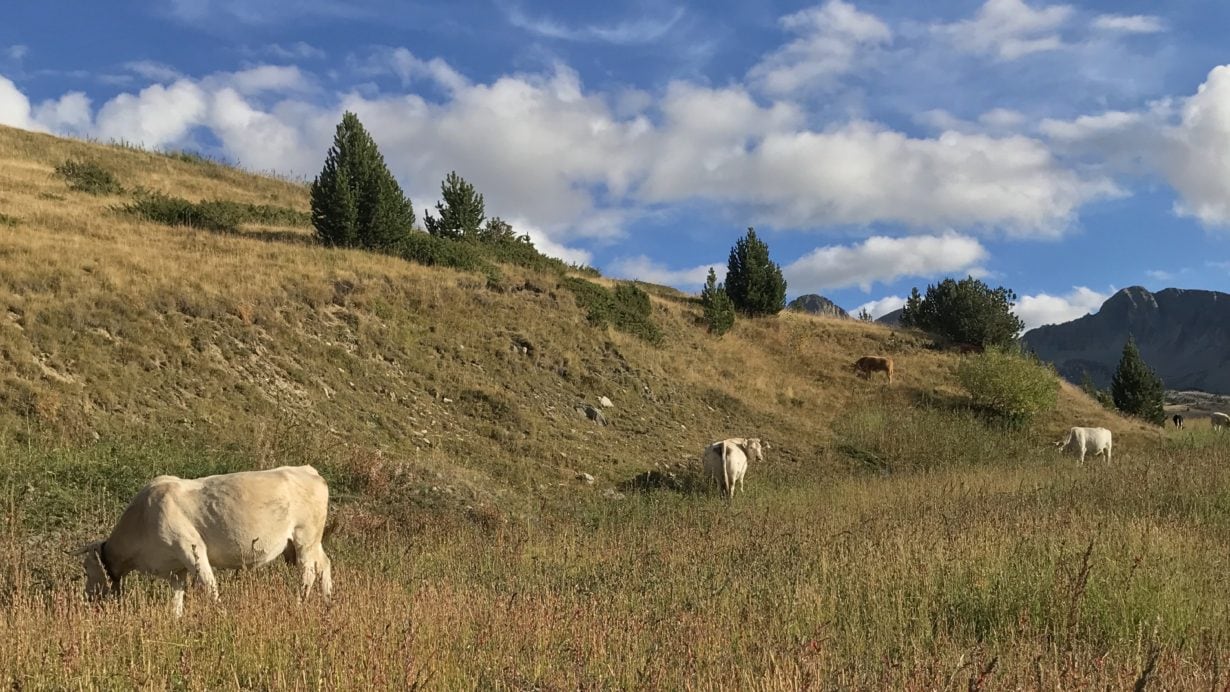 Day Five — Andorra to Start of Parcours B