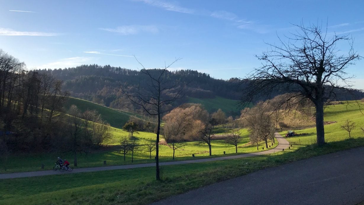 Frühling im Januar: Apfelbaumweg & Ursenbacher Höhe [Strava]